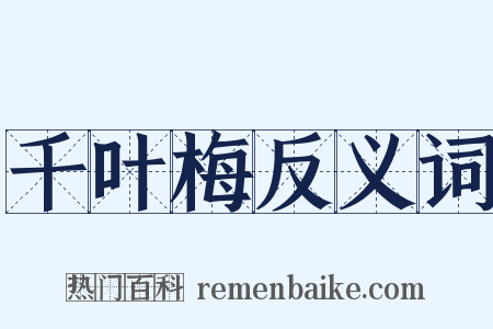 千叶梅反义词是什么意思的图片